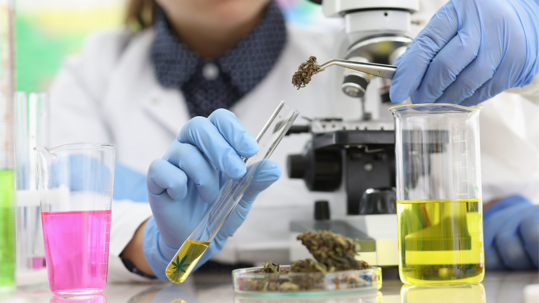 Le THCPO, qu'est ce que c'est ?