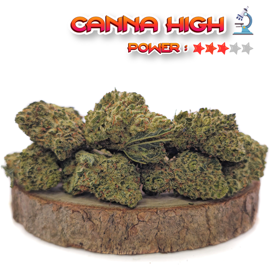 Bluedream b20