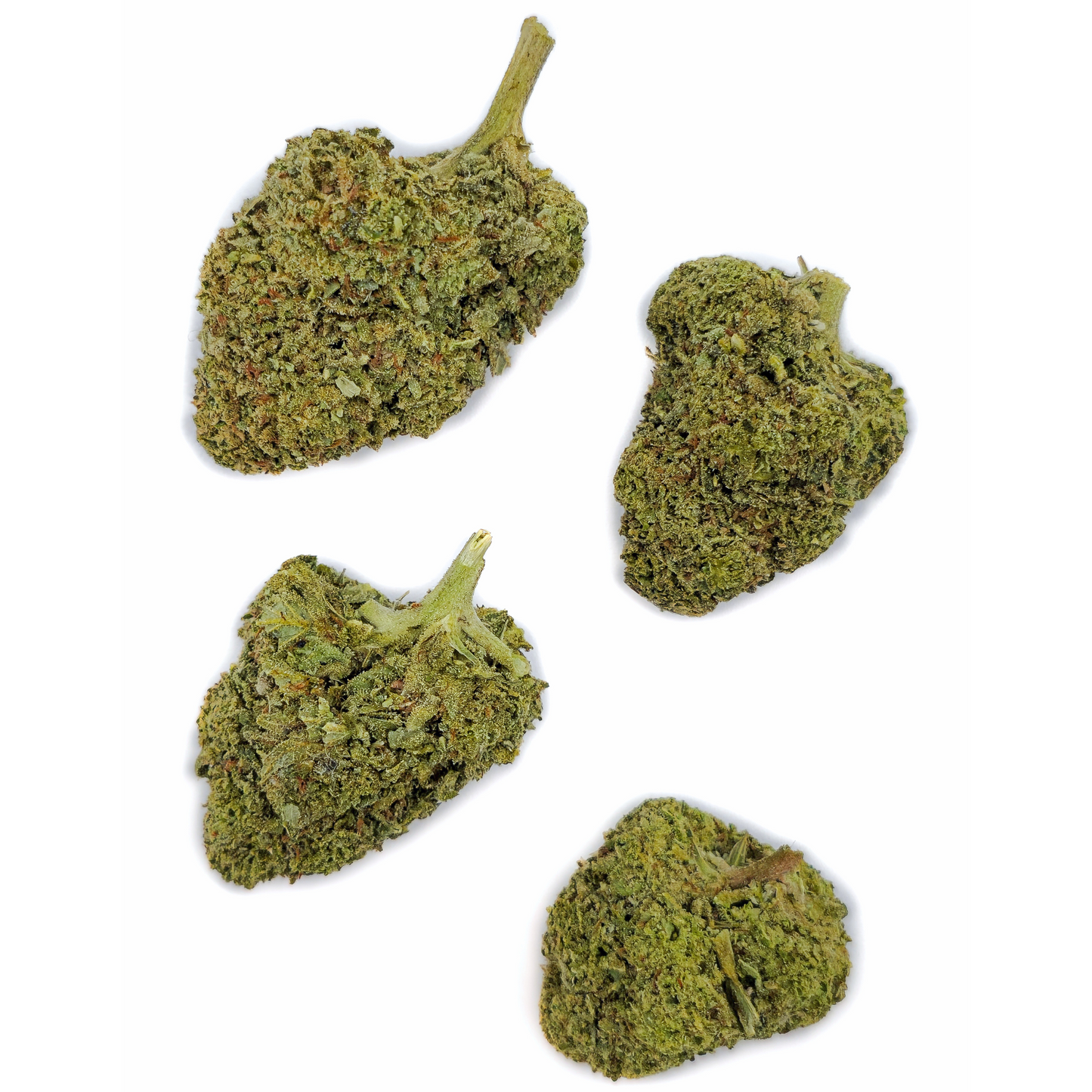Candy Melon