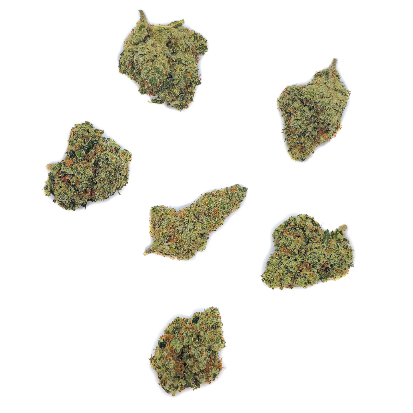 Amnesia CBD