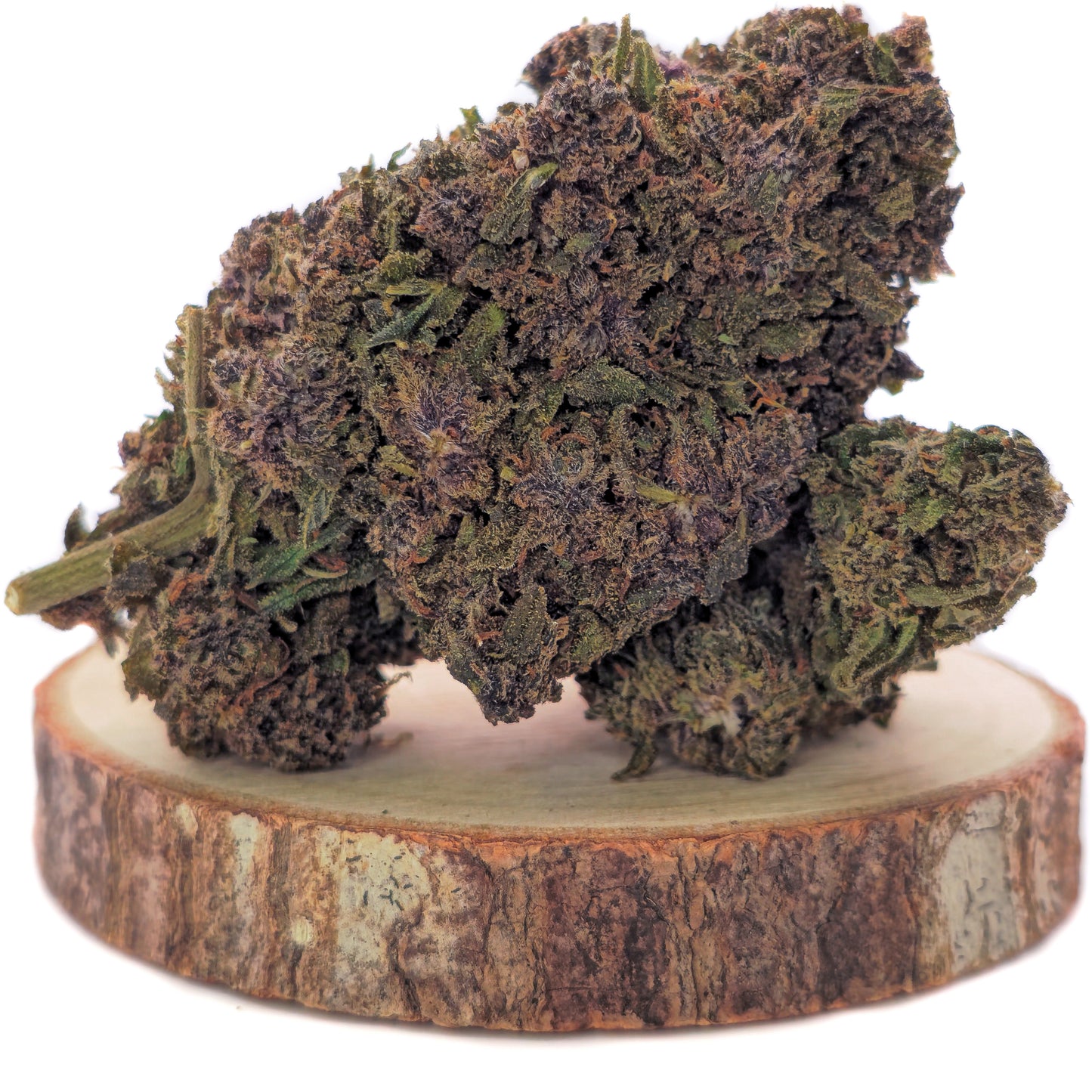 Purple Cherry THV