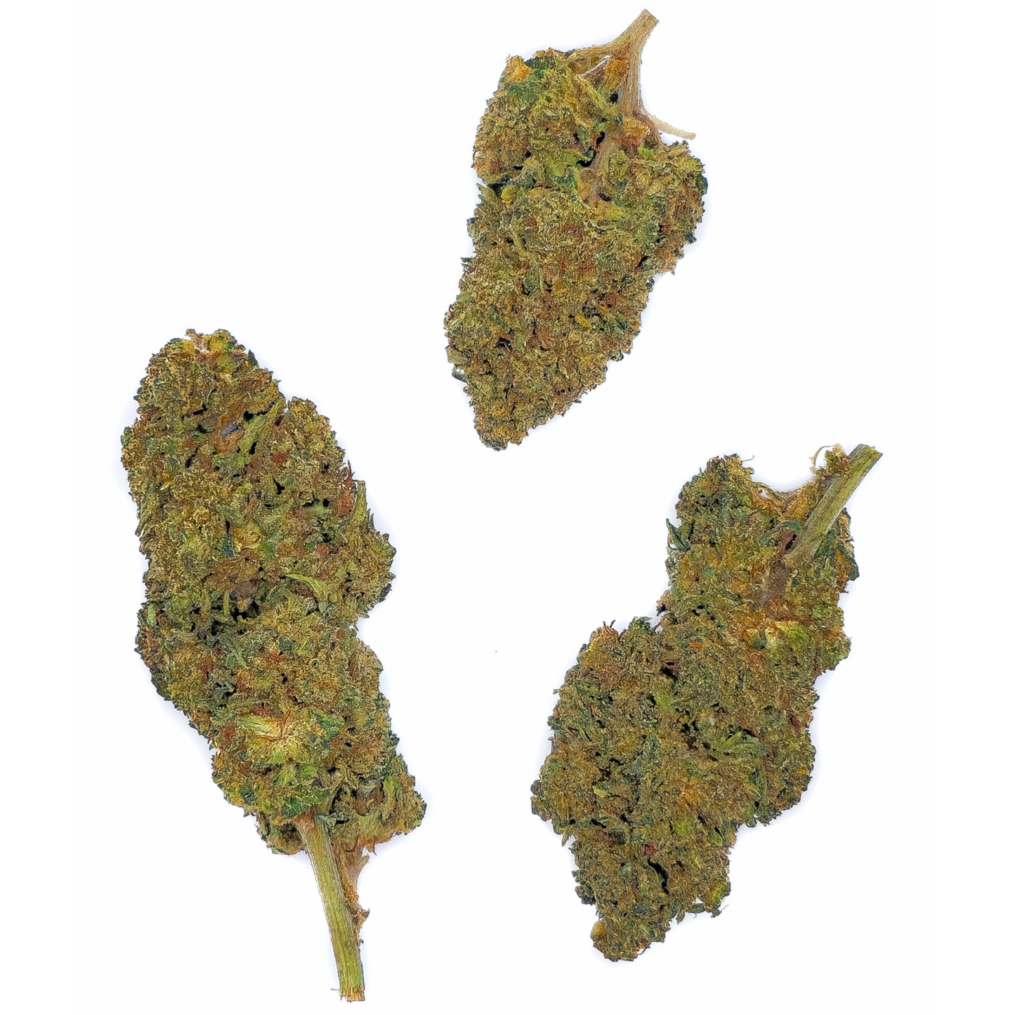 Cannatonic x Lemon THV