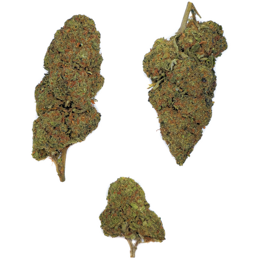 Blueberry THV2