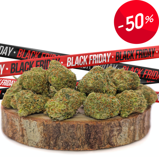 Small Bud GP3 x HQCT