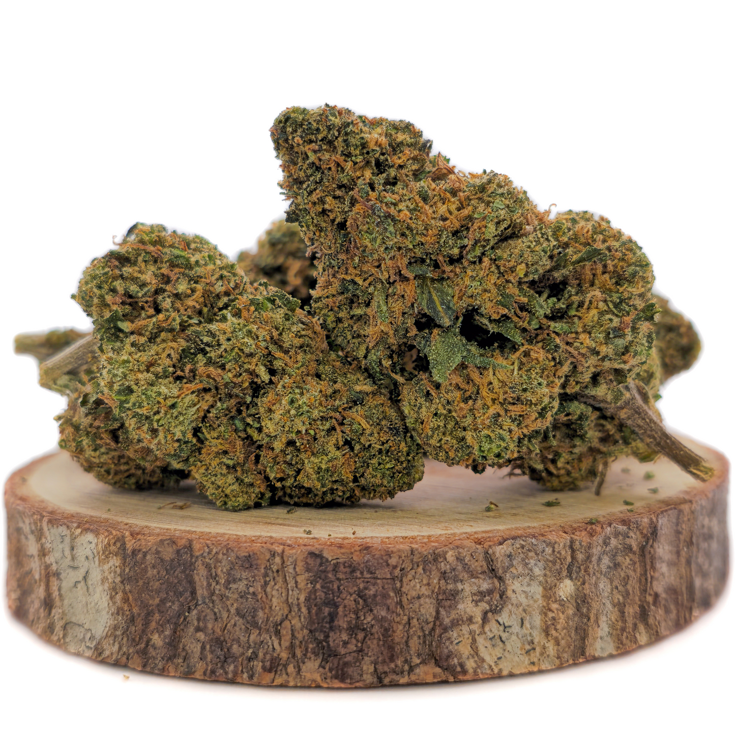 Northern Light THV2