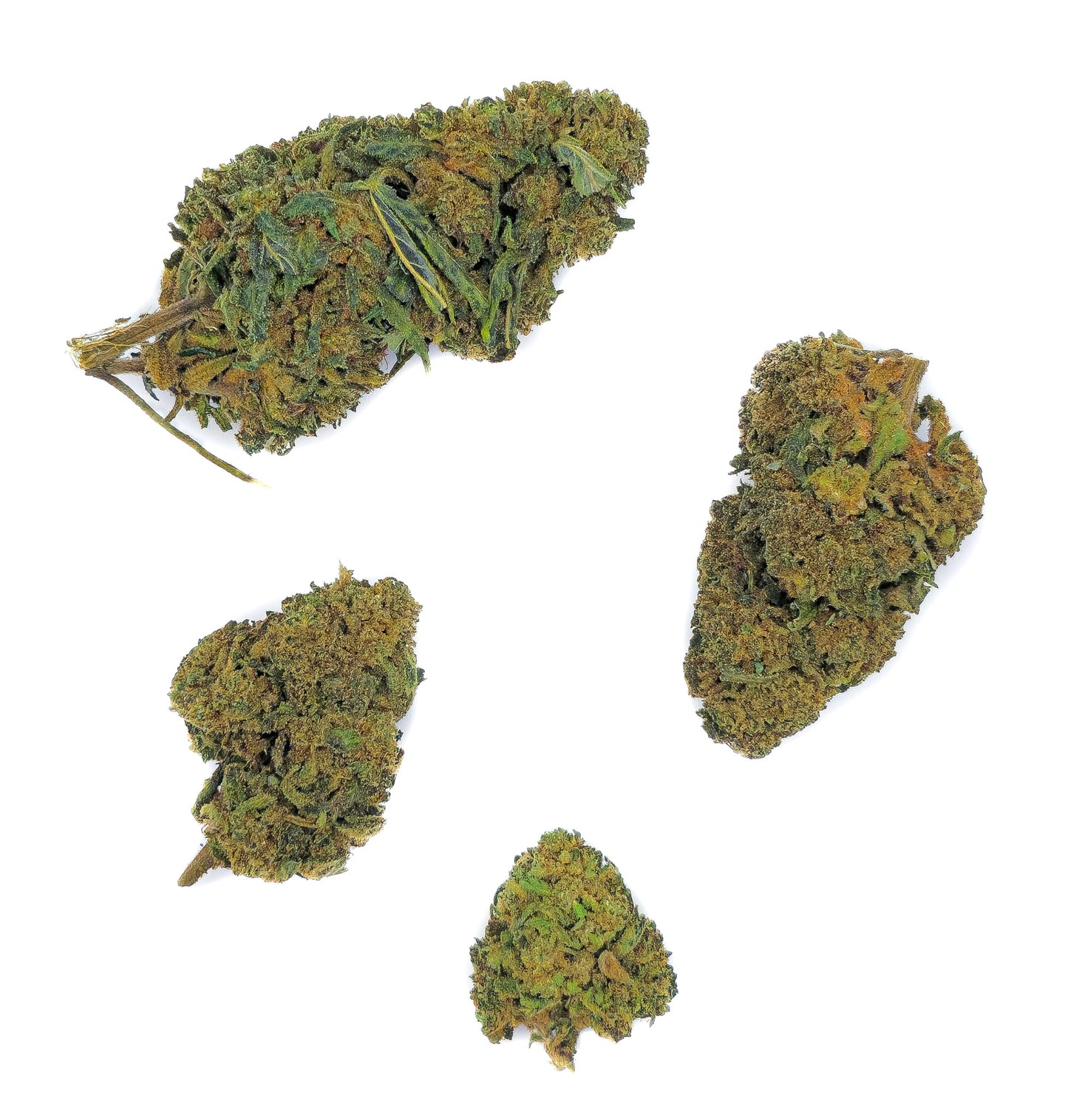 Jack Herer