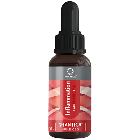 Huile CBD 20% Broad Spectrum Anti-Inflammation Curcuma & Gingembre Novaloa