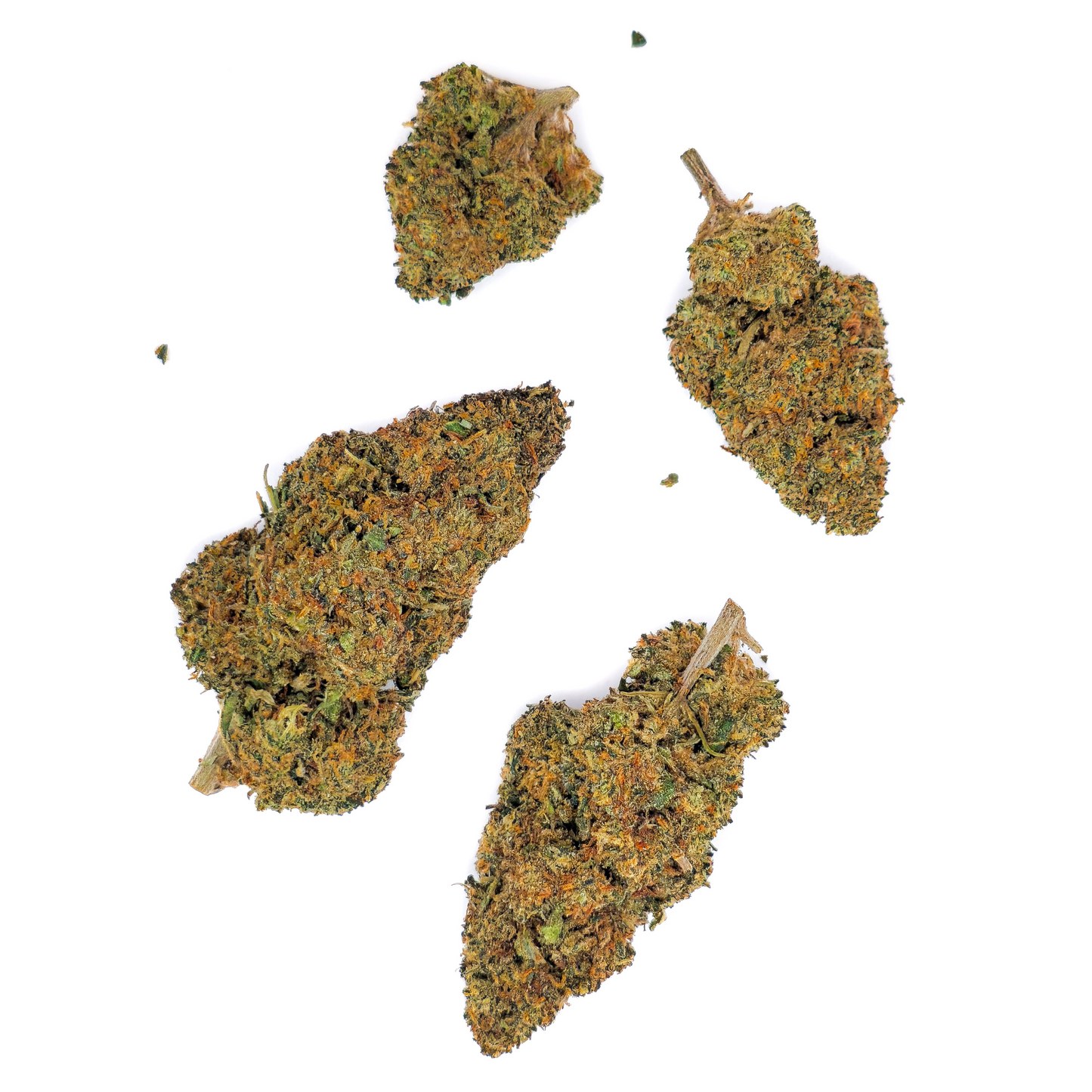 Tropical Haze THV