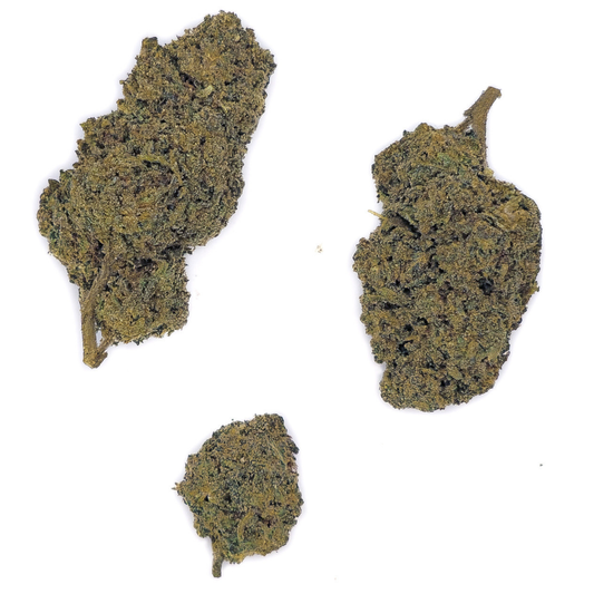 Watermelon Zkittelz STV10