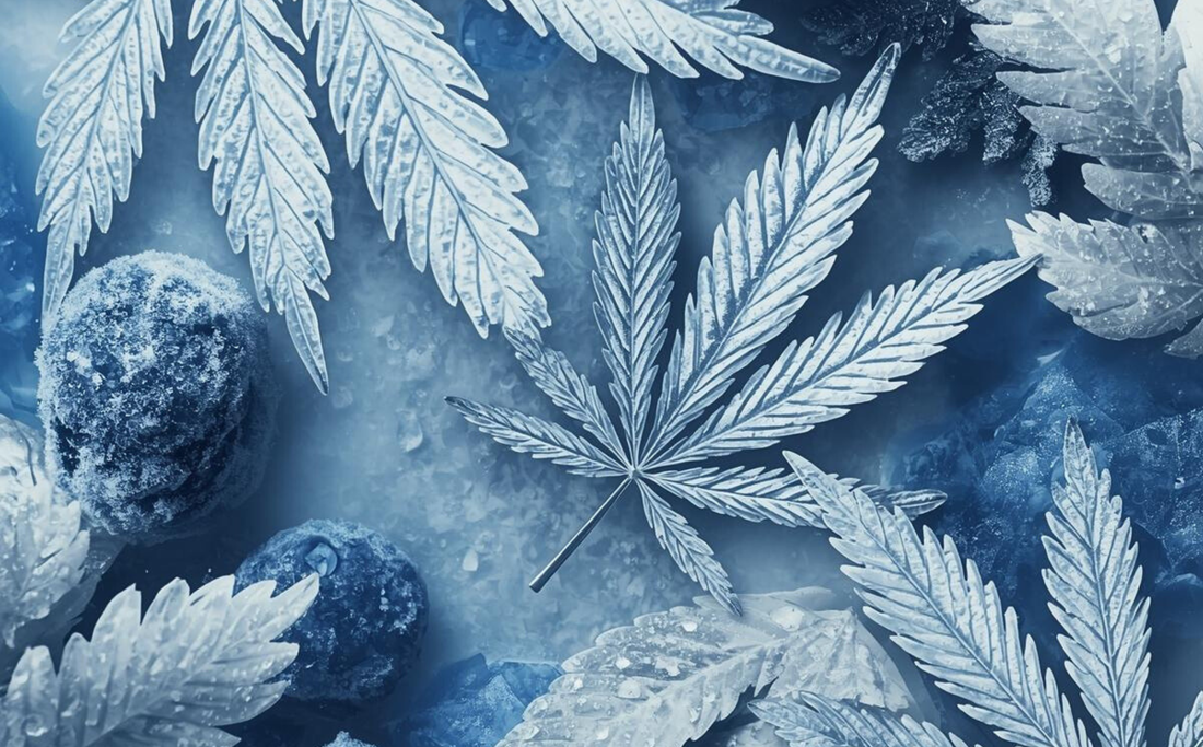Frozen Hash
