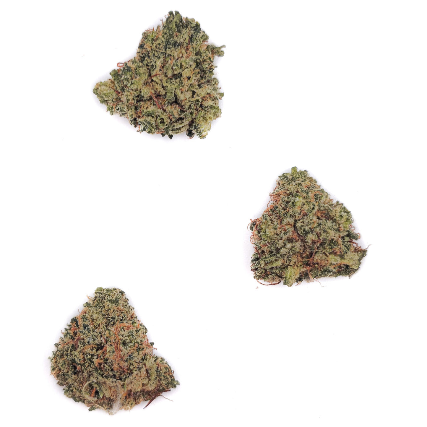 Small Bud Lemon Cherry Gelato