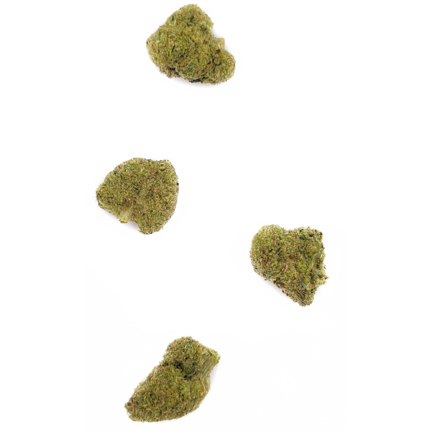 Amnesia Cryo B20 et STV