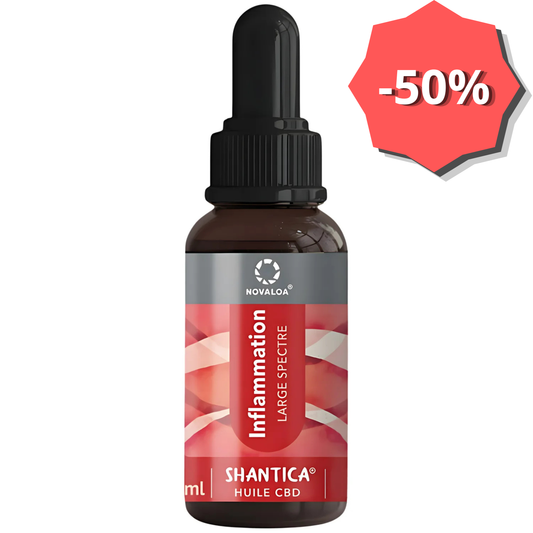Huile CBD 20% Spectre Large - "Inflammation" Curcuma & Gingembre - NOVALOA