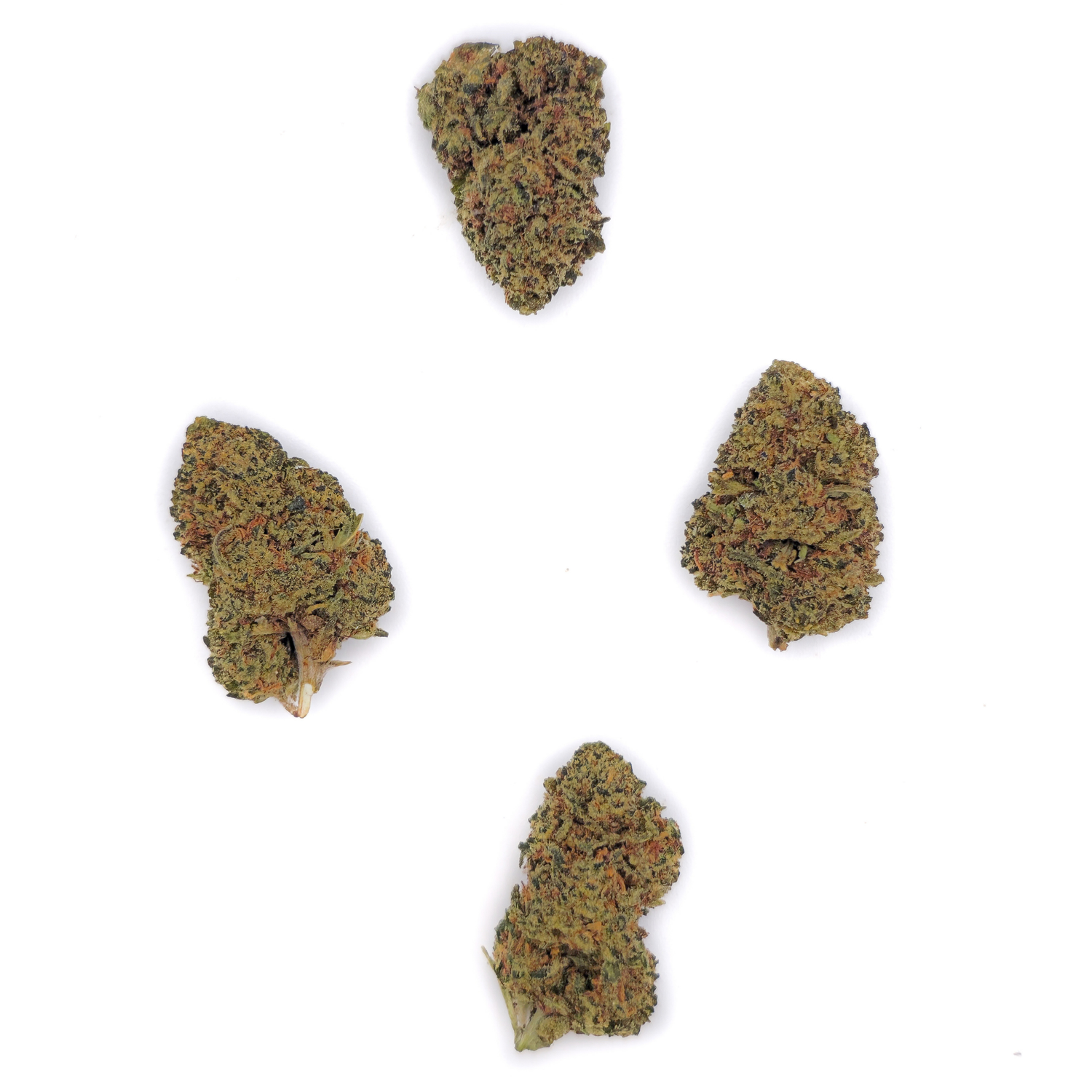 Small Bud Candy Kush