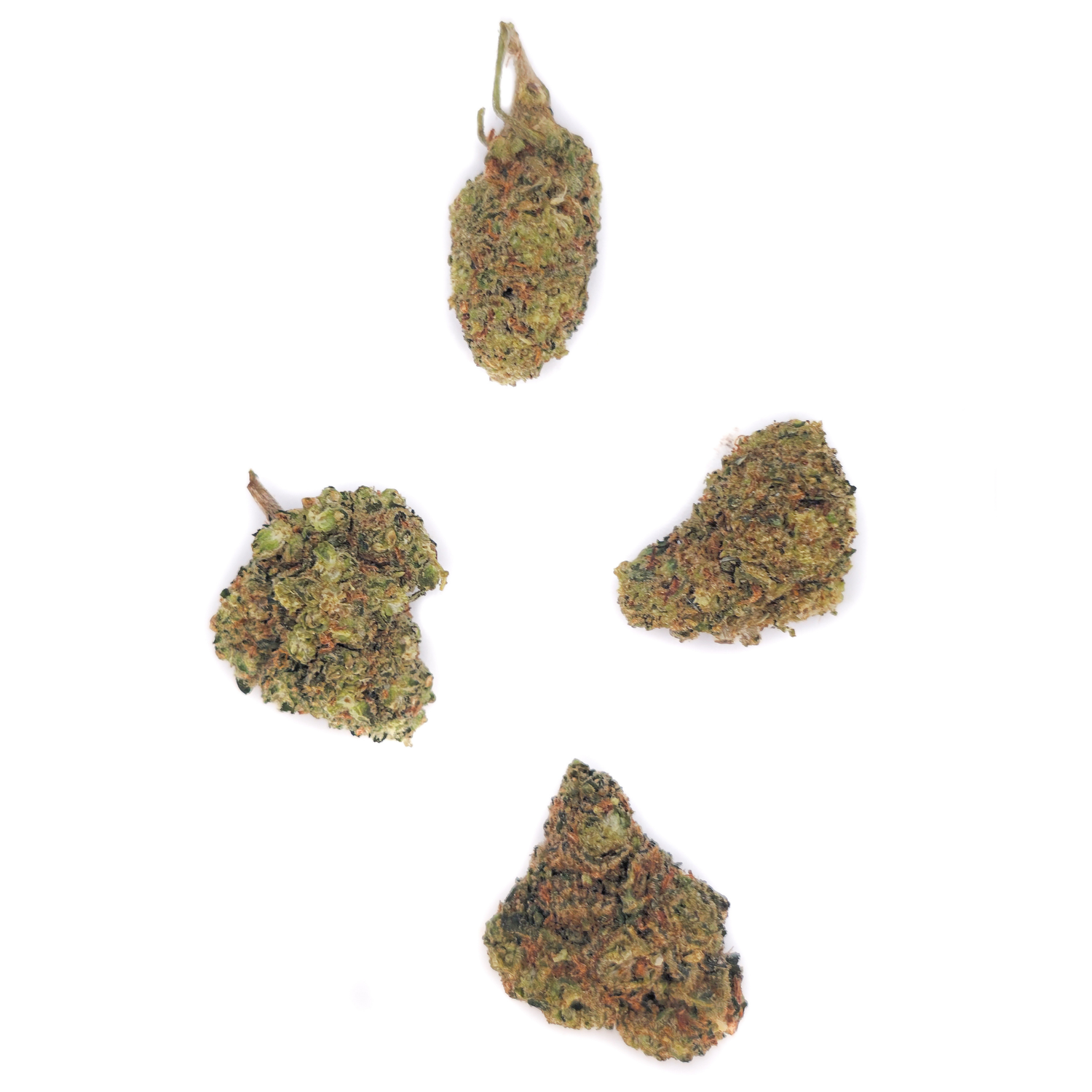 Small Bud Gelato
