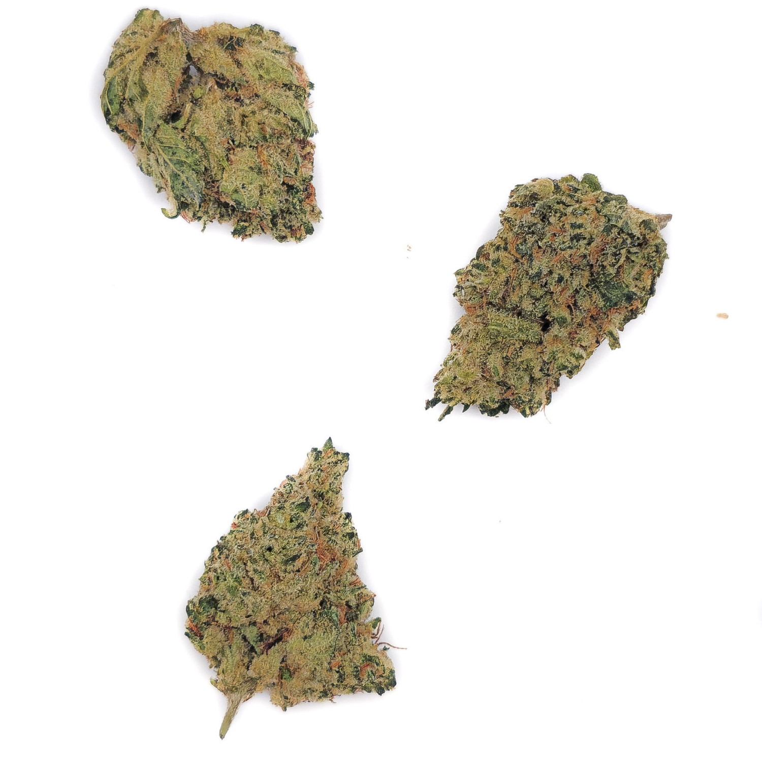 Blue Dream THVN-10