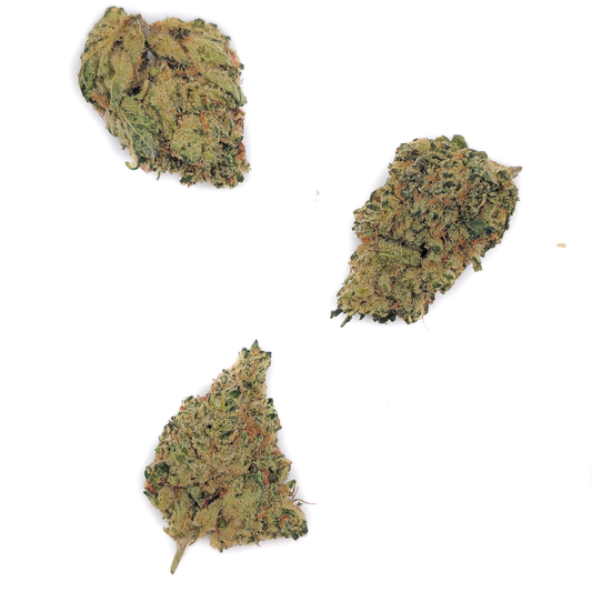 Blue Dream THVN-10
