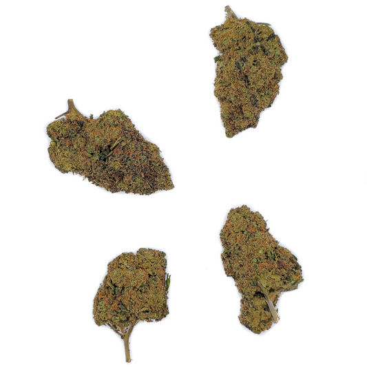 Blueberry BZ20