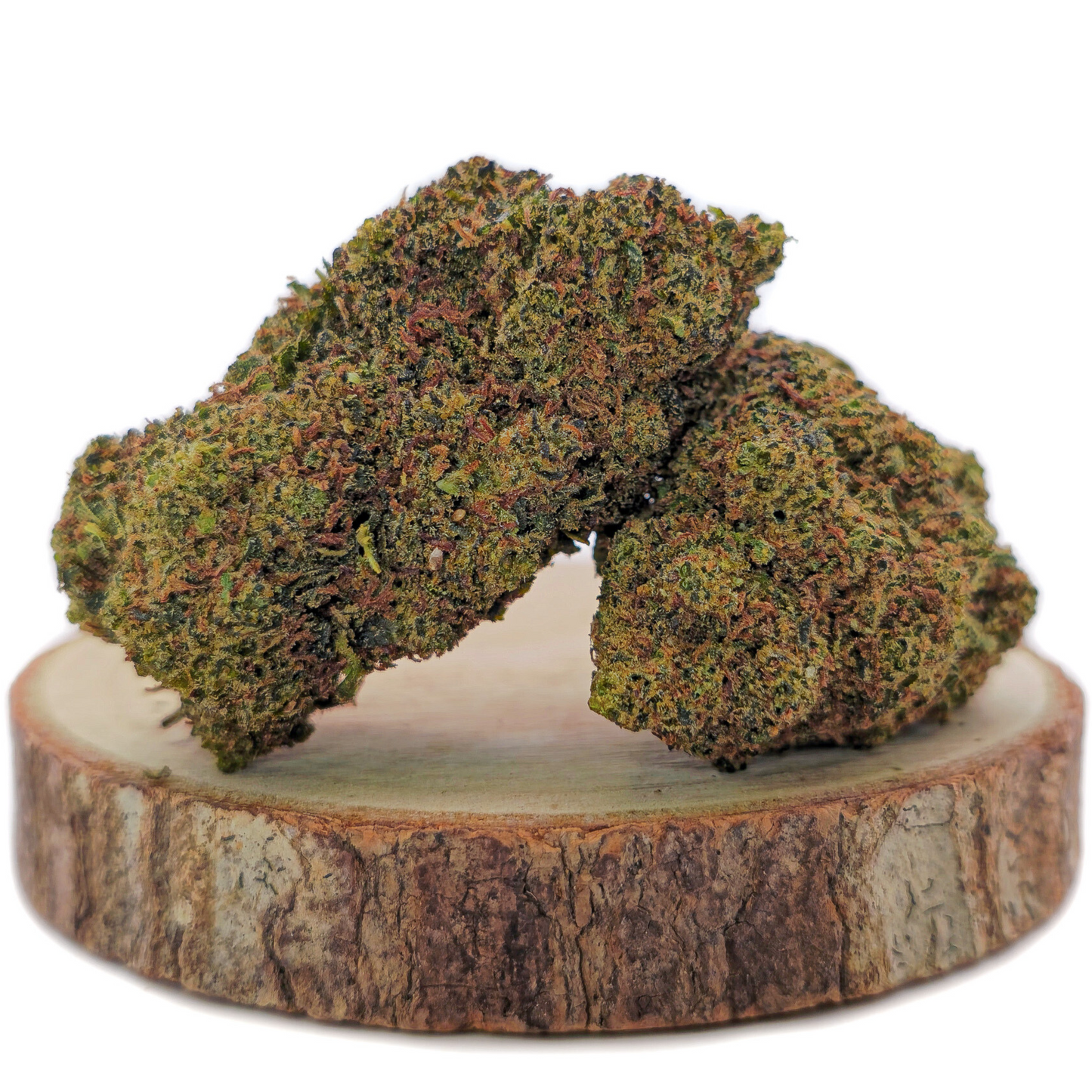 Blueberry BZ