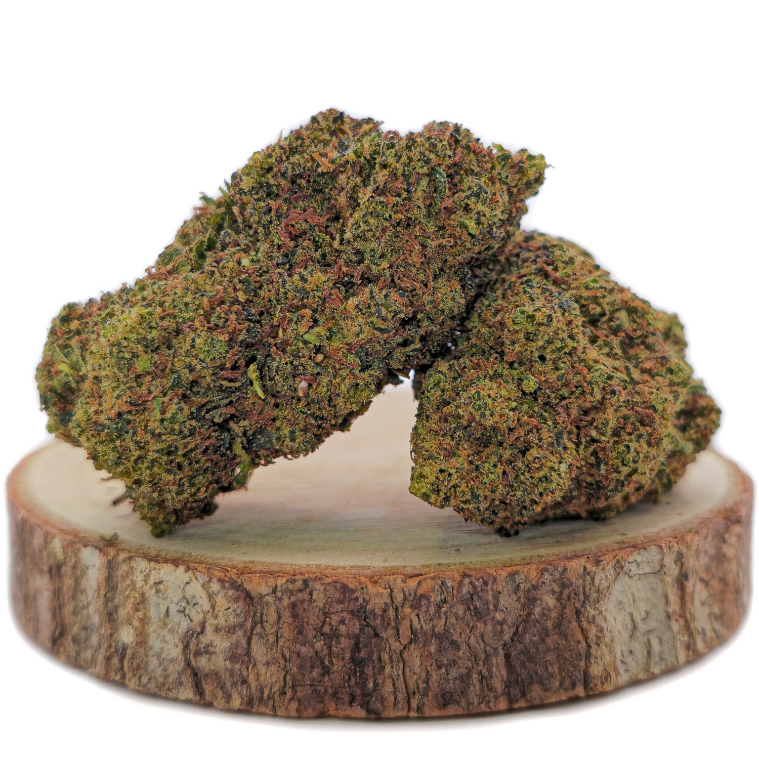Blueberry BZ