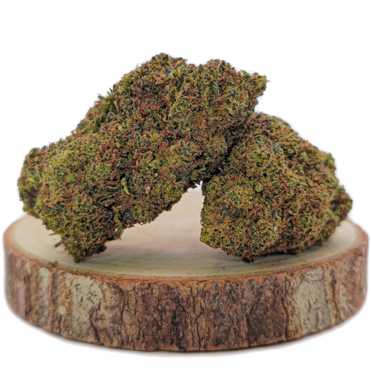 Blueberry BZ