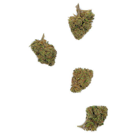 Small Bud Bubble Gum