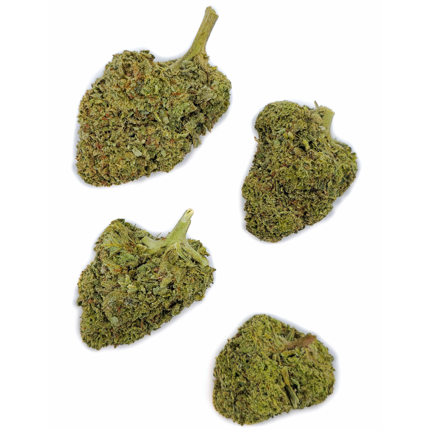Candy Melon