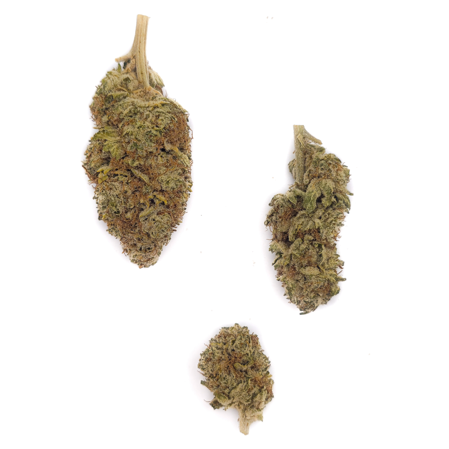 Cosmic Haze CBD-P