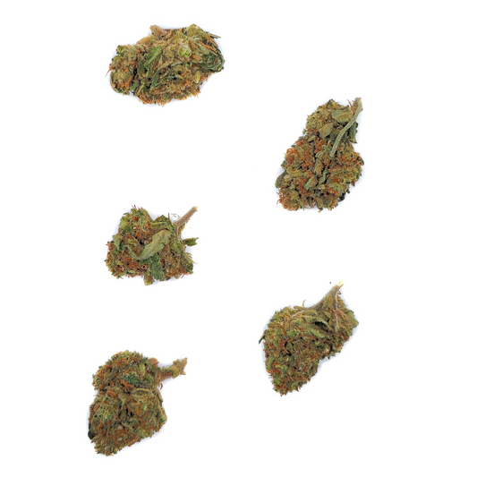 Small Bud Cherry Pie CBD