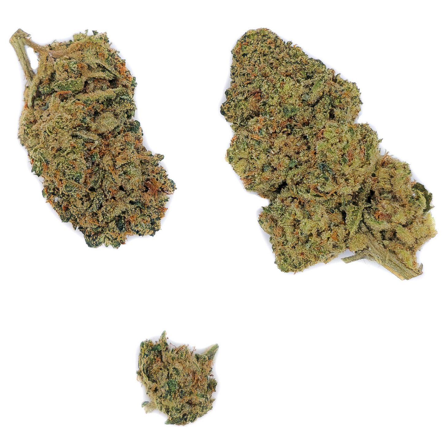 Payton Strawberry CBD-P