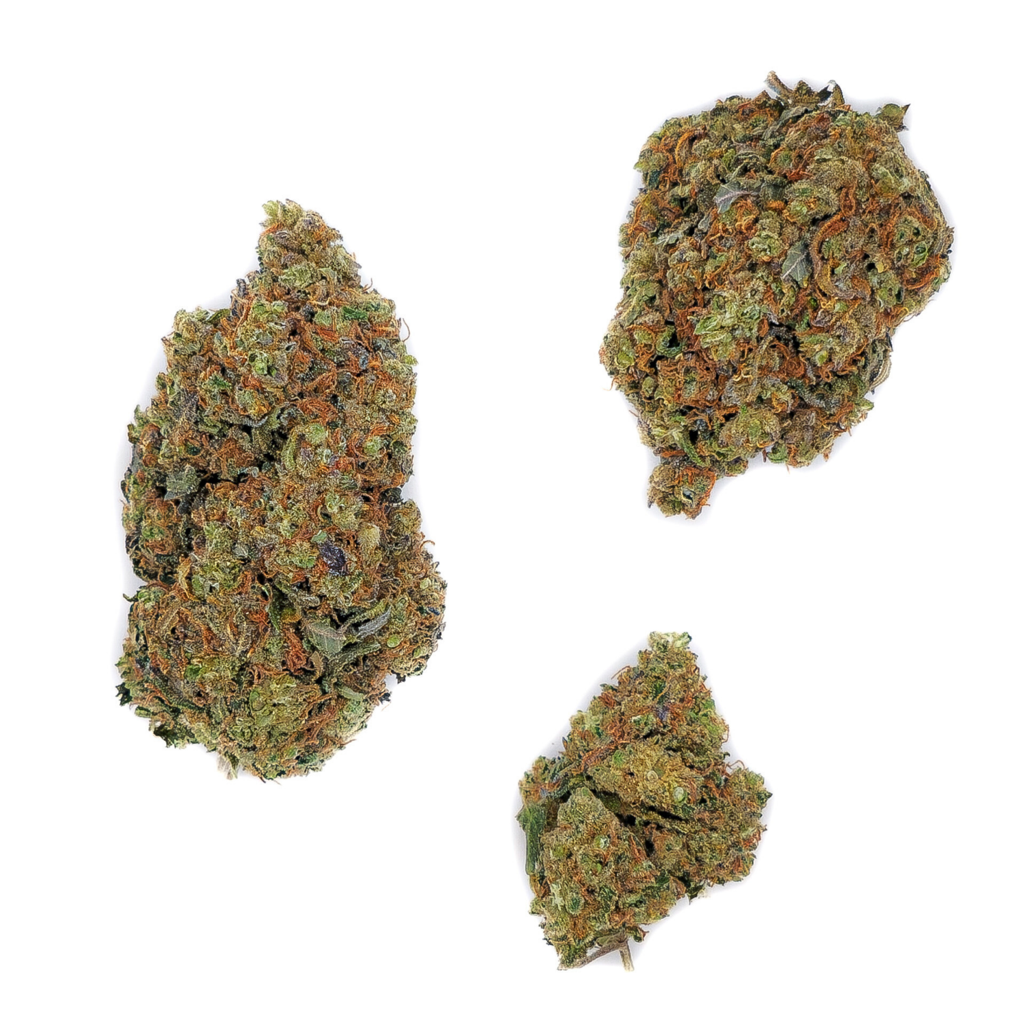 Blueberry Muffin CBD