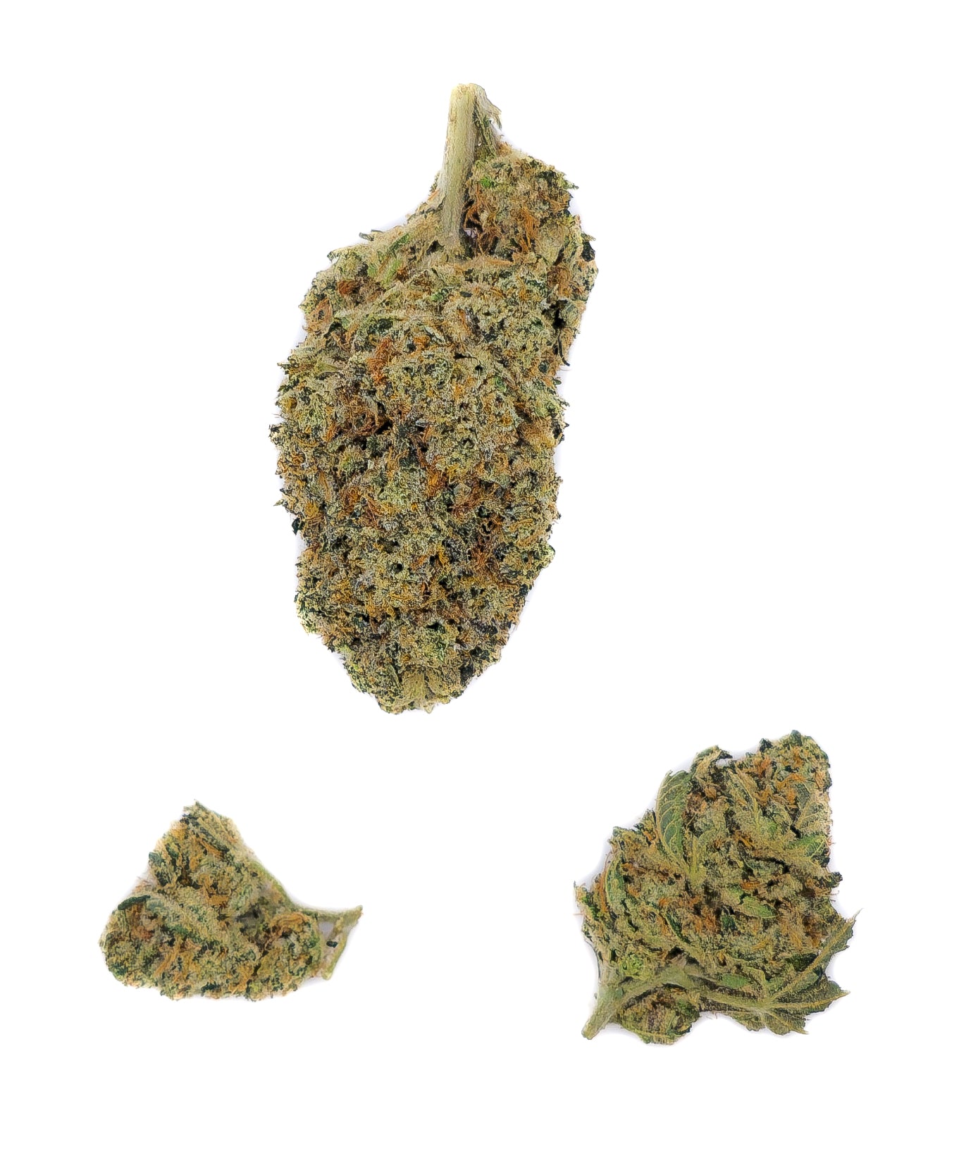 Lemon Skunk Indoor CBD