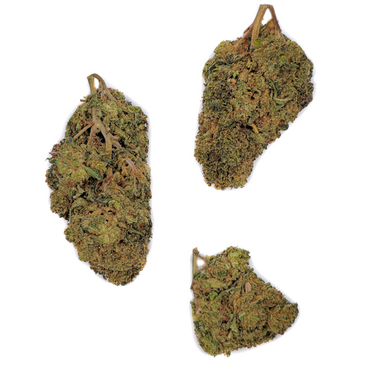 Jack Herer THV N-10