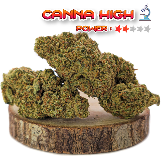 Layzie Og CBD-P