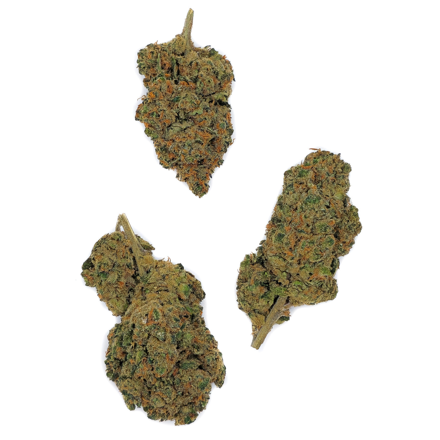 Moby Dick CBD-P