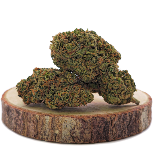 Moby Dick CBDP