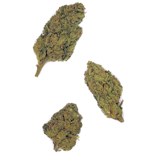 Plutonium BZ20