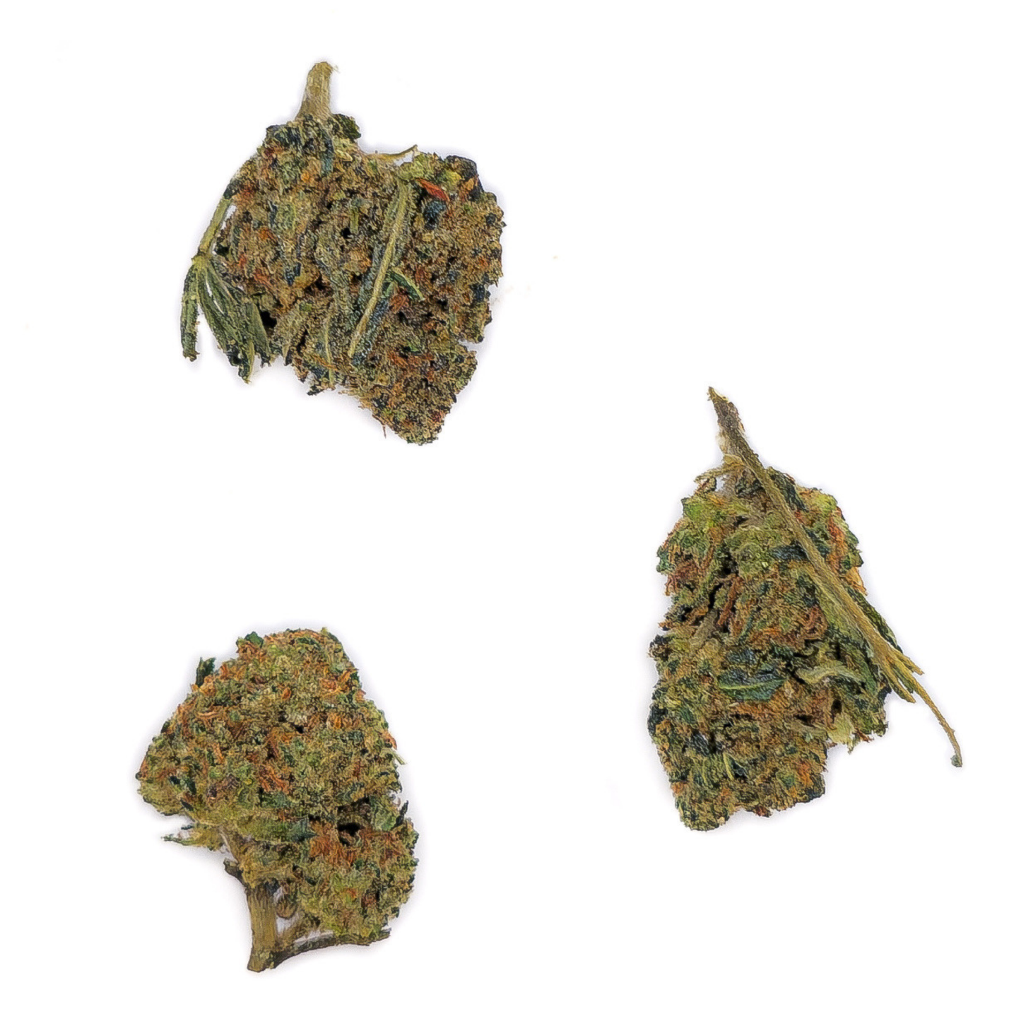 Blueberry