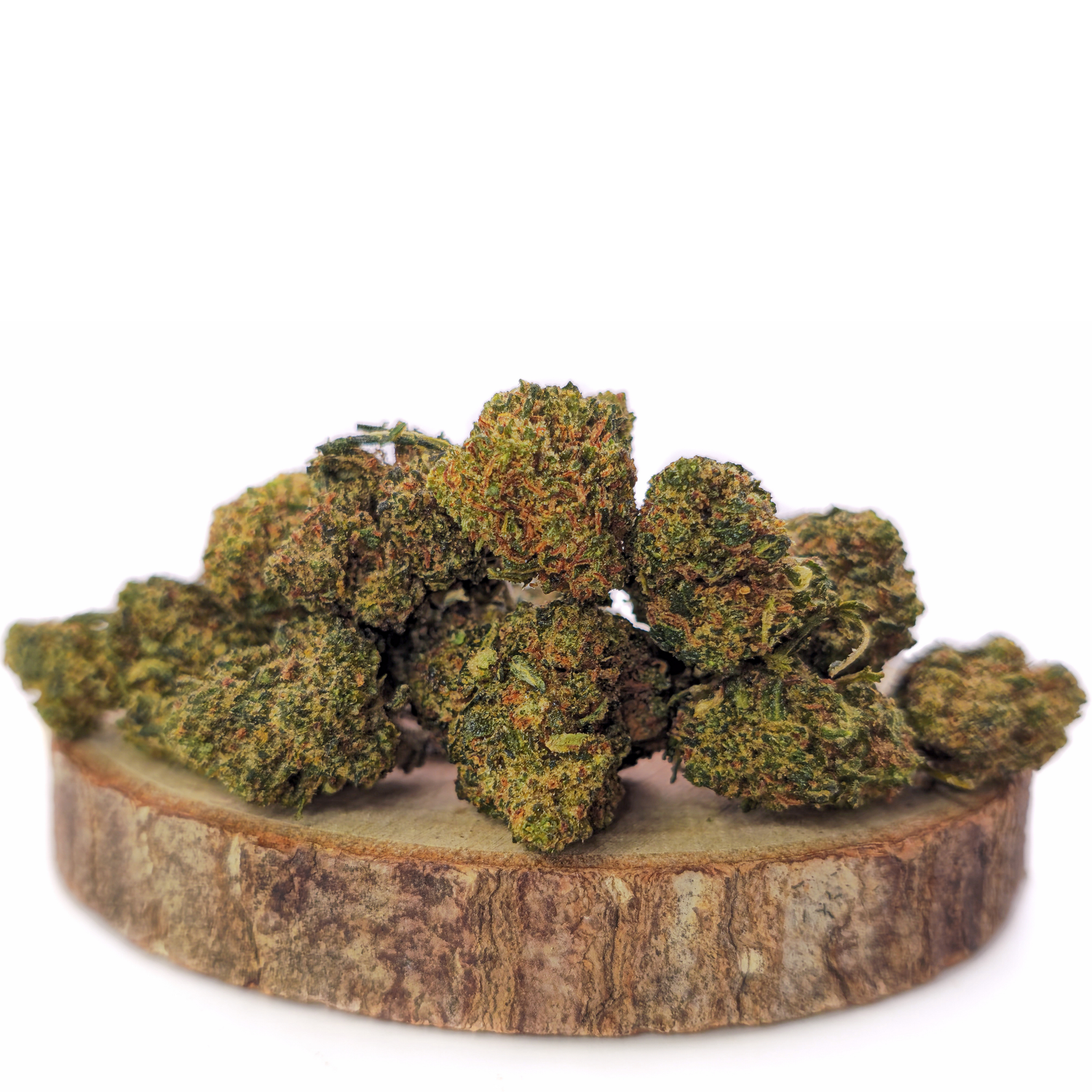 Small Bud Blueberry B20