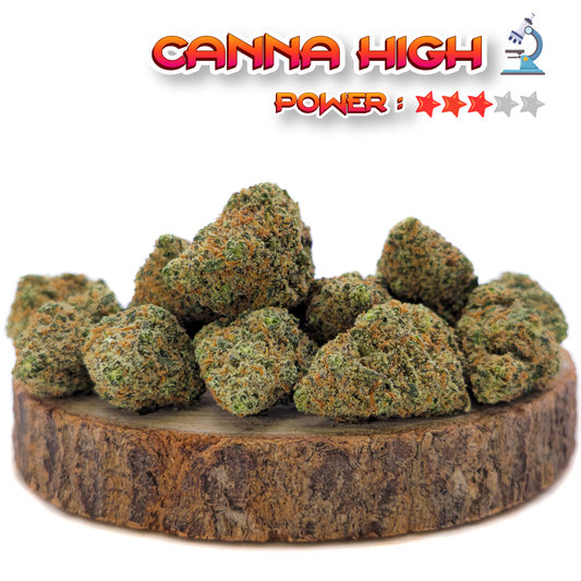 Small Bud Blueberry CBDP