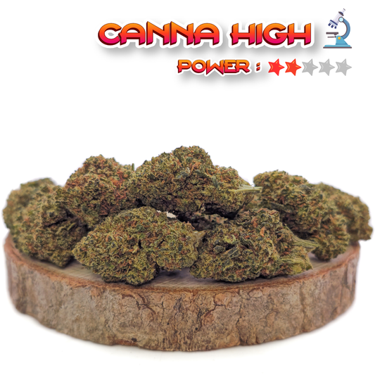 Candy Kush T10