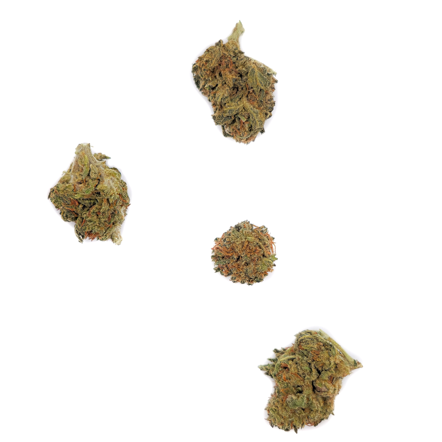 Fleurs Choco Haze