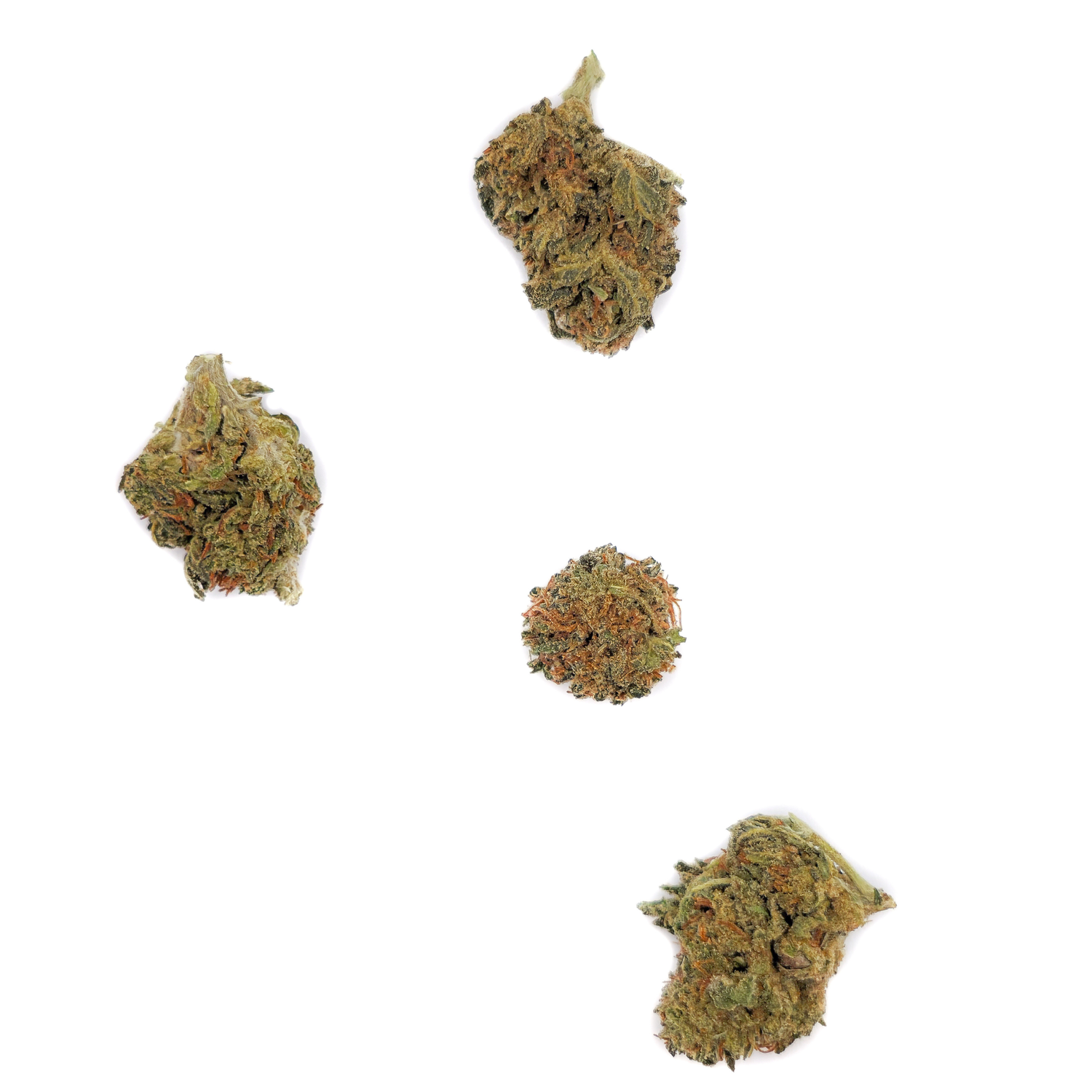 Fleurs Choco Haze