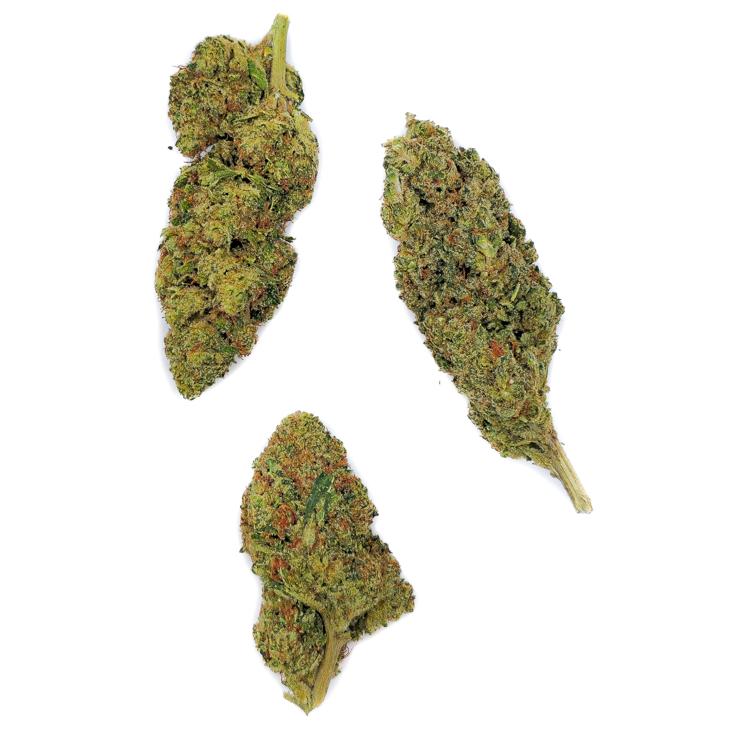 Sky CBD-P