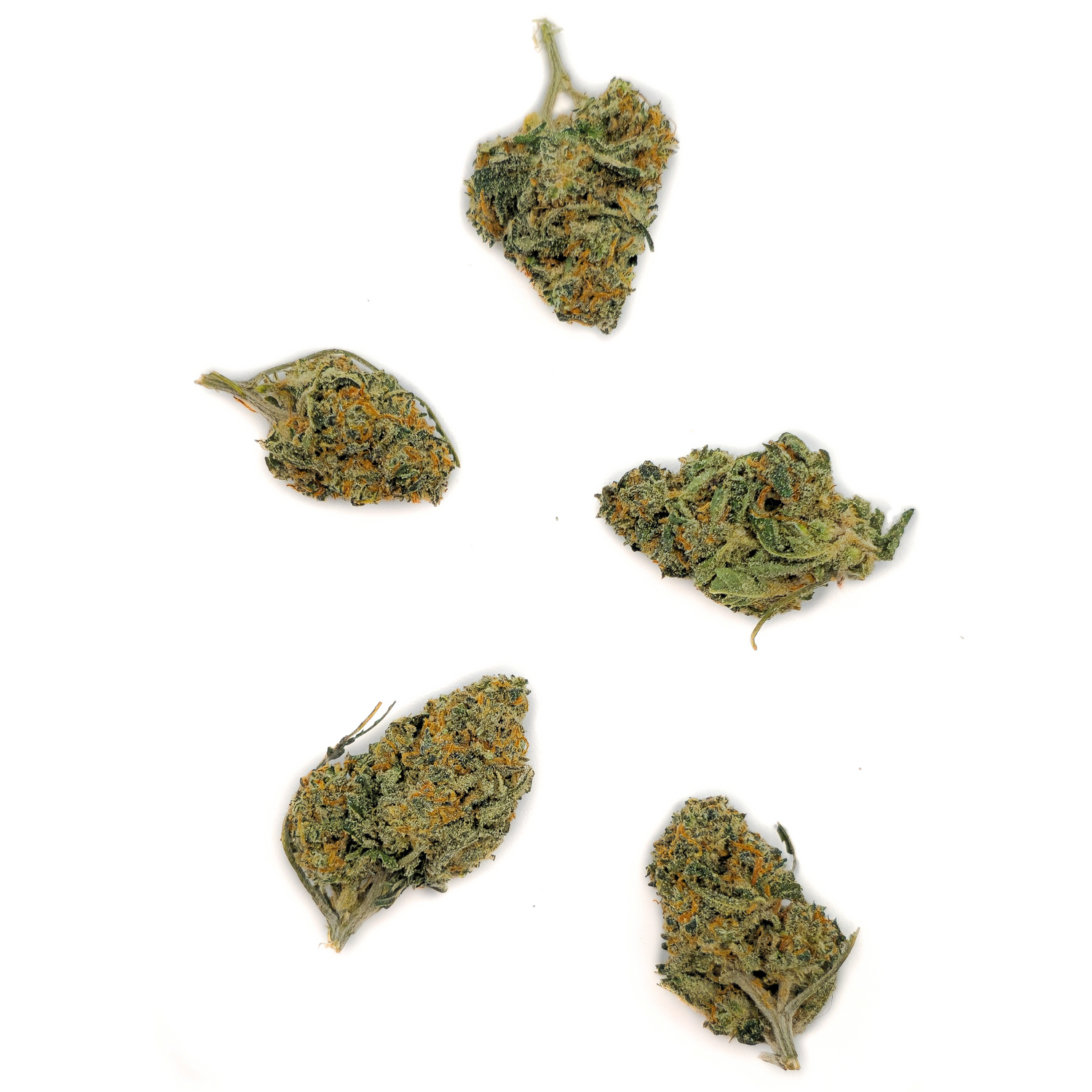 Small Bud Alien OG