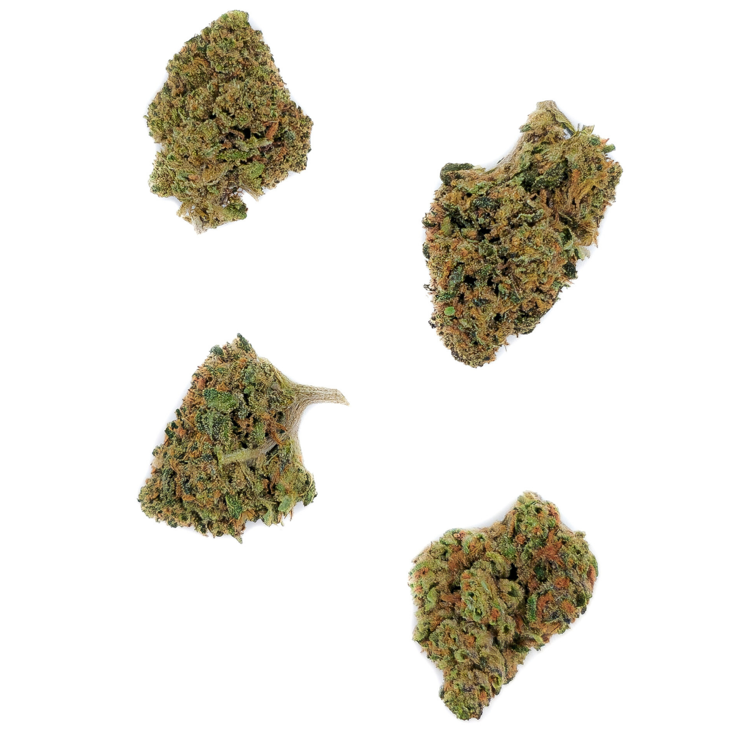 Small Bud Sweet Candy