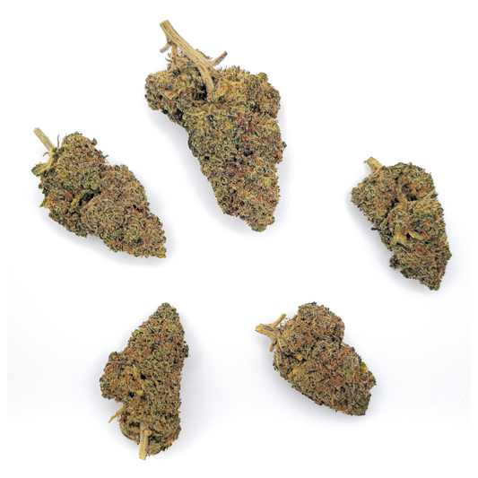 Sour Sherbet 10 OH