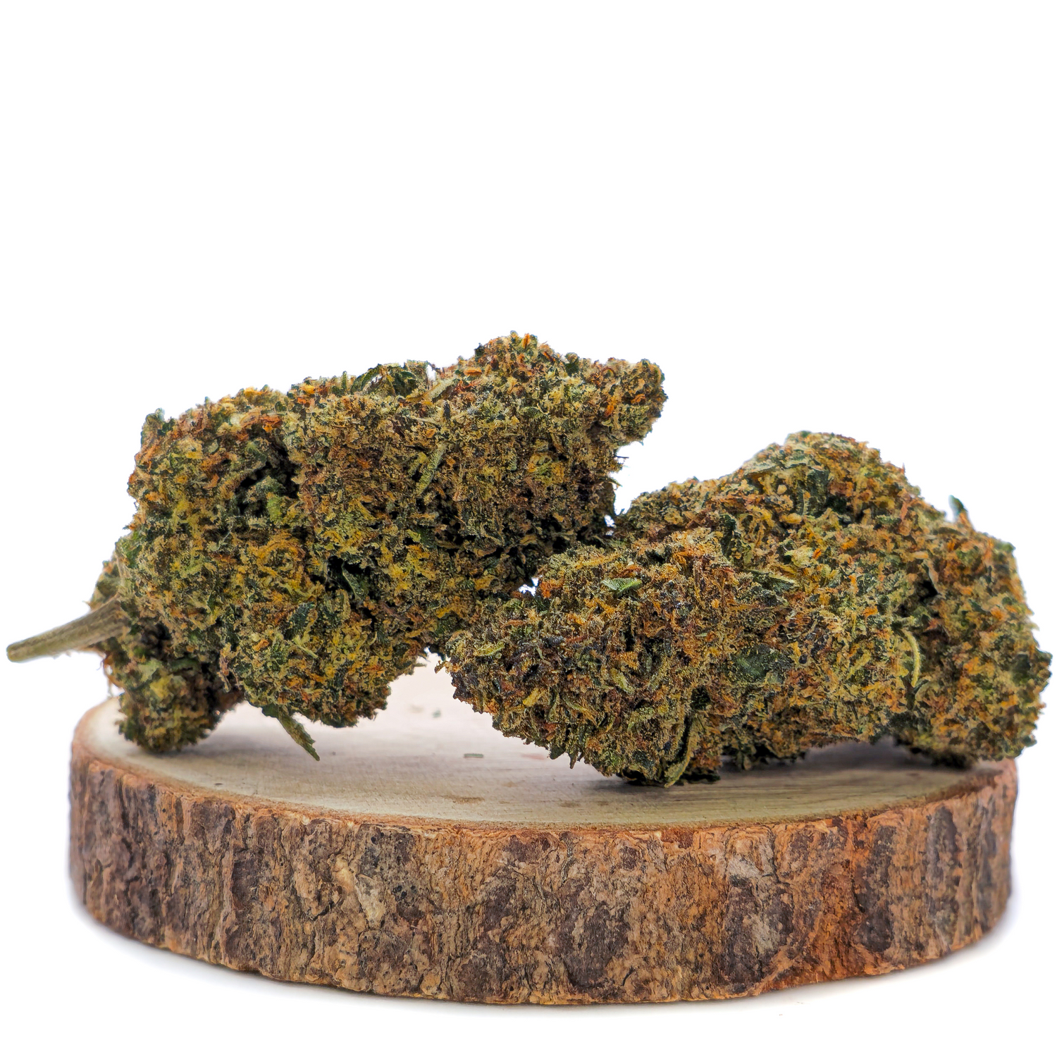 Tropical Haze THV2