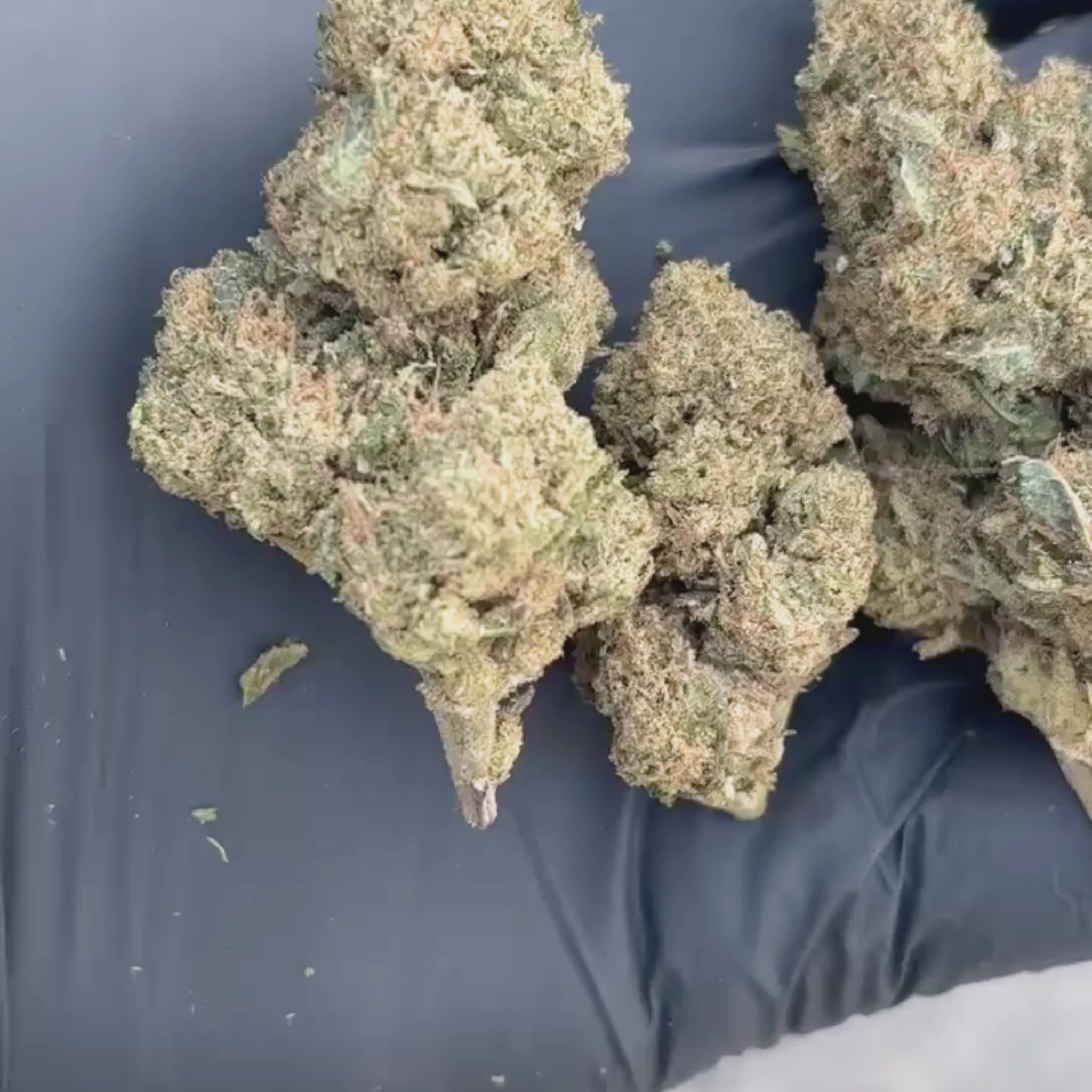 Raspberry Diesel THV2