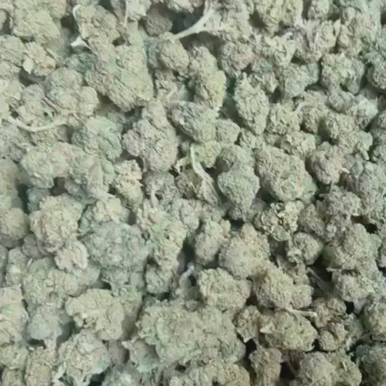 Watermelon Zkittelz Sativanol